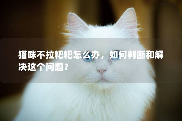 猫咪不拉粑粑怎么办，如何判断和解决这个问题？