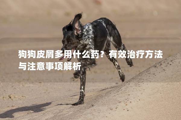 狗狗皮屑多用什么药？有效治疗方法与注意事项解析