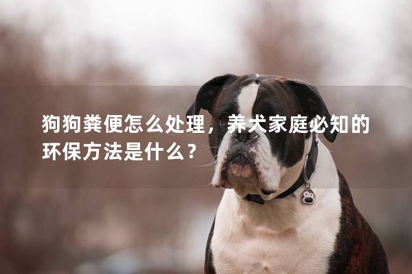 狗狗粪便怎么处理，养犬家庭必知的环保方法是什么？