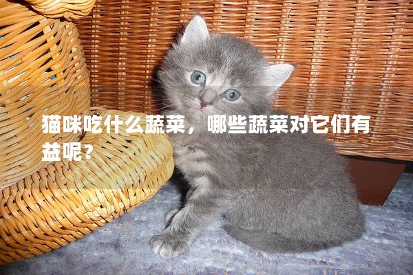 猫咪吃什么蔬菜，哪些蔬菜对它们有益呢？