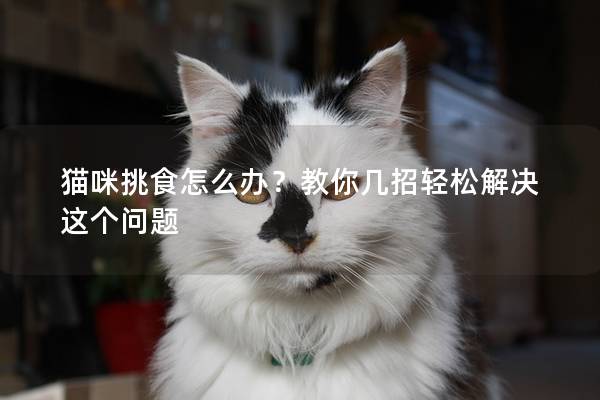 猫咪挑食怎么办？教你几招轻松解决这个问题