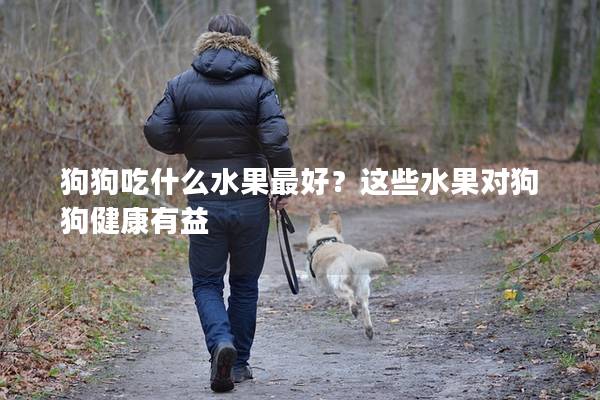 狗狗吃什么水果最好？这些水果对狗狗健康有益