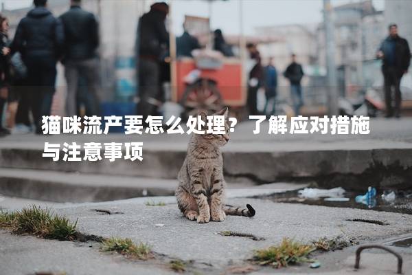 猫咪流产要怎么处理？了解应对措施与注意事项