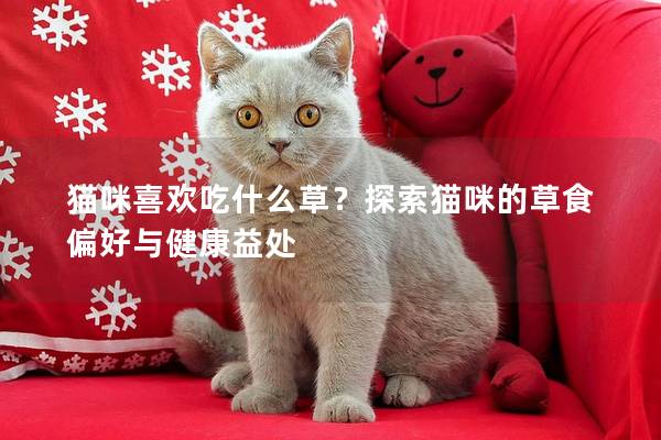 猫咪喜欢吃什么草？探索猫咪的草食偏好与健康益处