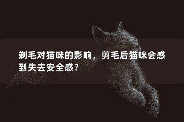 剃毛对猫咪的影响，剪毛后猫咪会感到失去安全感？