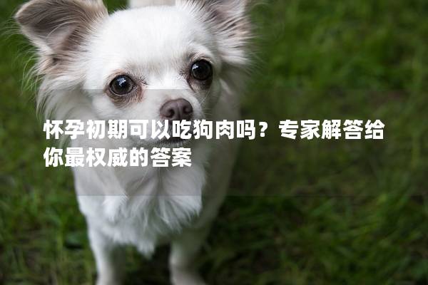 怀孕初期可以吃狗肉吗？专家解答给你最权威的答案