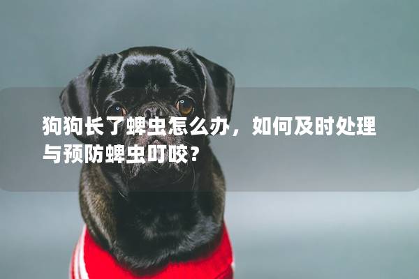 狗狗长了蜱虫怎么办，如何及时处理与预防蜱虫叮咬？