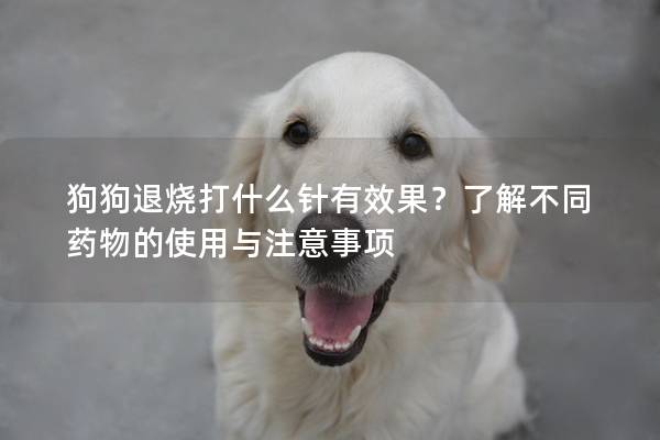 狗狗退烧打什么针有效果？了解不同药物的使用与注意事项