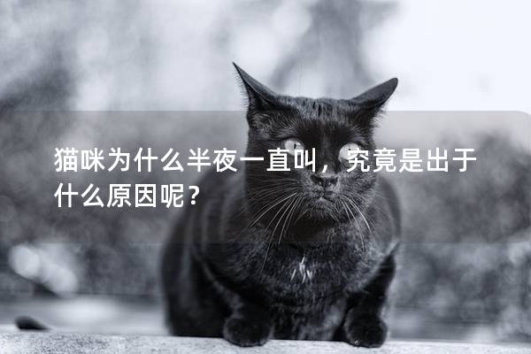 猫咪为什么半夜一直叫，究竟是出于什么原因呢？