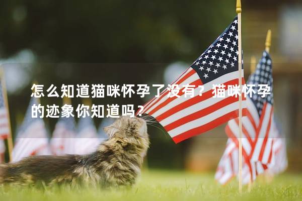 怎么知道猫咪怀孕了没有？猫咪怀孕的迹象你知道吗？