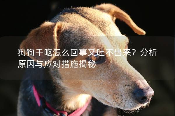 狗狗干呕怎么回事又吐不出来？分析原因与应对措施揭秘