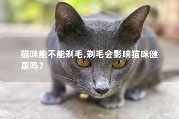 猫咪能不能剃毛,剃毛会影响猫咪健康吗？