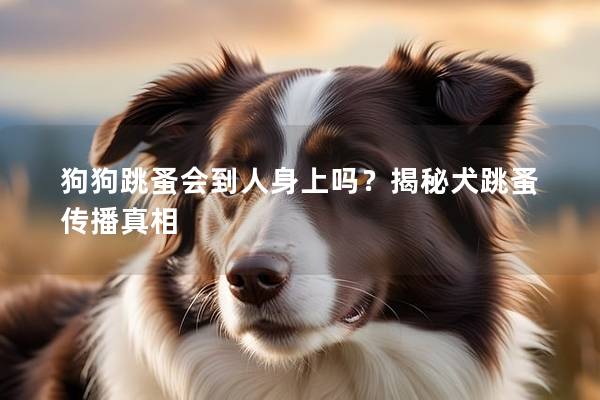 狗狗跳蚤会到人身上吗？揭秘犬跳蚤传播真相