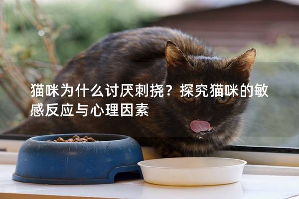 猫咪为什么讨厌刺挠？探究猫咪的敏感反应与心理因素