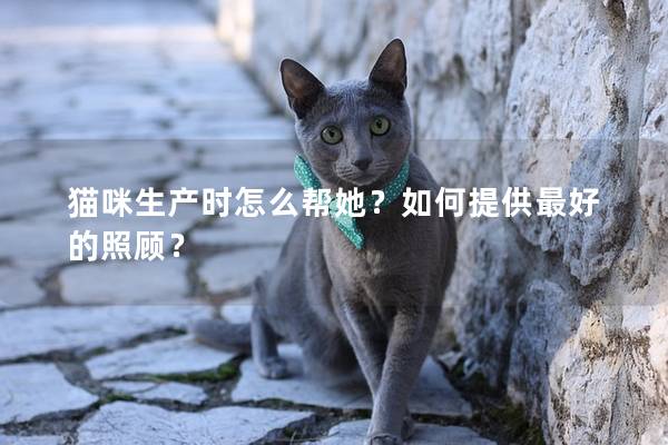 猫咪生产时怎么帮她？如何提供最好的照顾？