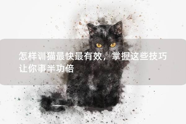 怎样训猫最快最有效，掌握这些技巧让你事半功倍