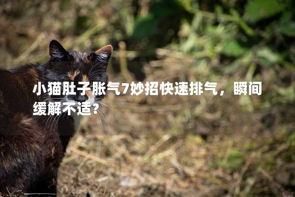 小猫肚子胀气7妙招快速排气，瞬间缓解不适？