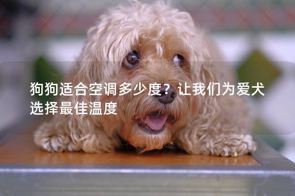 狗狗适合空调多少度？让我们为爱犬选择最佳温度