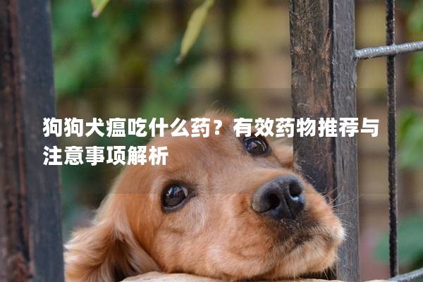 狗狗犬瘟吃什么药？有效药物推荐与注意事项解析