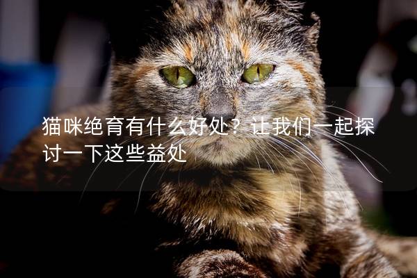 猫咪绝育有什么好处？让我们一起探讨一下这些益处