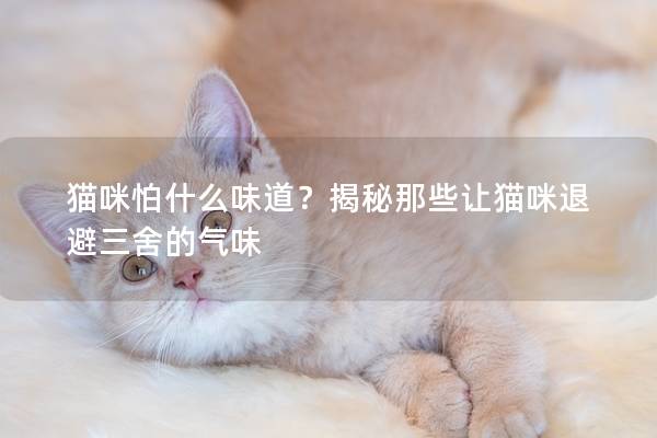 猫咪怕什么味道？揭秘那些让猫咪退避三舍的气味