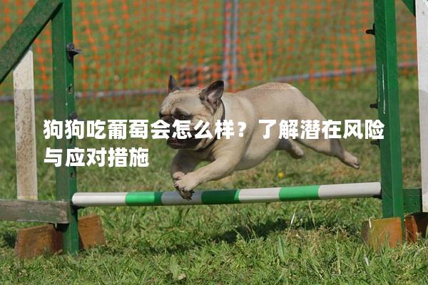 狗狗吃葡萄会怎么样？了解潜在风险与应对措施