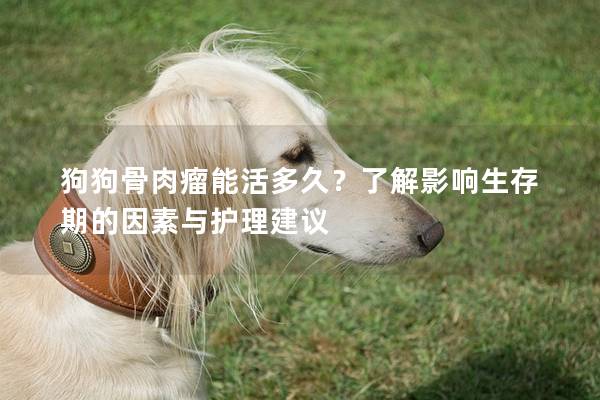 狗狗骨肉瘤能活多久？了解影响生存期的因素与护理建议