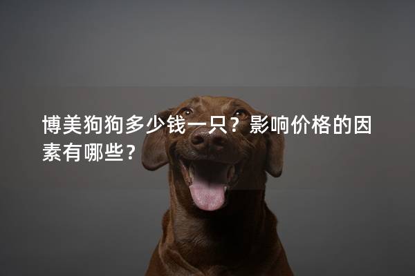 博美狗狗多少钱一只？影响价格的因素有哪些？