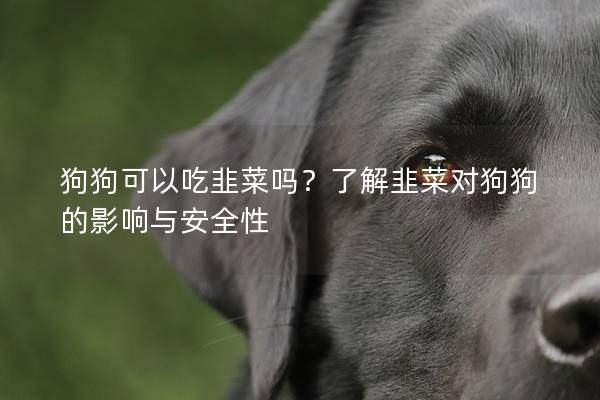 狗狗可以吃韭菜吗？了解韭菜对狗狗的影响与安全性