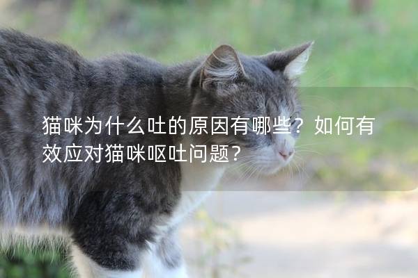 猫咪为什么吐的原因有哪些？如何有效应对猫咪呕吐问题？