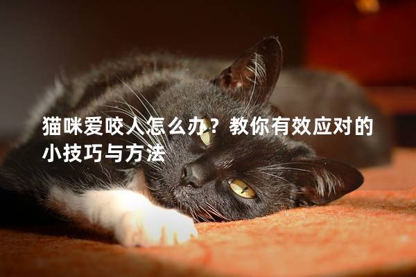 猫咪爱咬人怎么办？教你有效应对的小技巧与方法