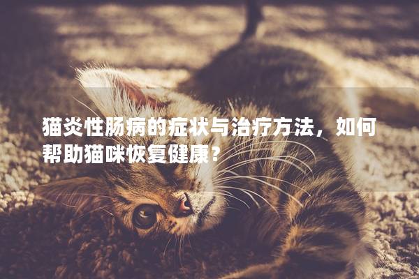 猫炎性肠病的症状与治疗方法，如何帮助猫咪恢复健康？