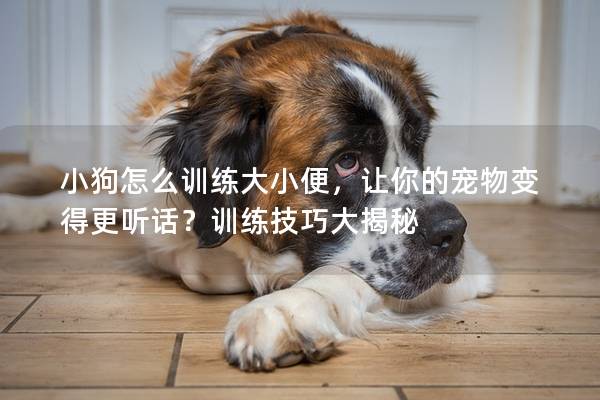 小狗怎么训练大小便，让你的宠物变得更听话？训练技巧大揭秘