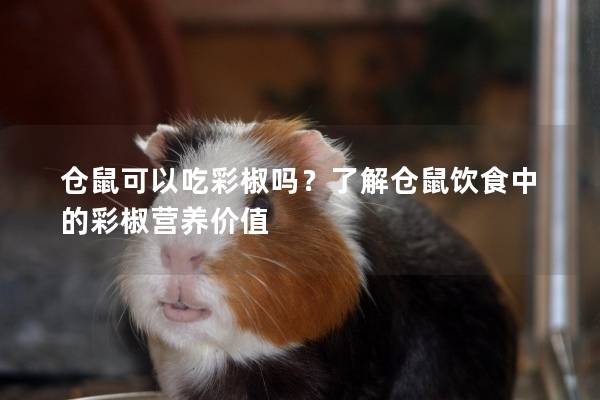 仓鼠可以吃彩椒吗?了解仓鼠饮食中的彩椒营养价值 仓鼠可以吃彩椒吗?了解仓鼠饮食中的彩椒营养价值