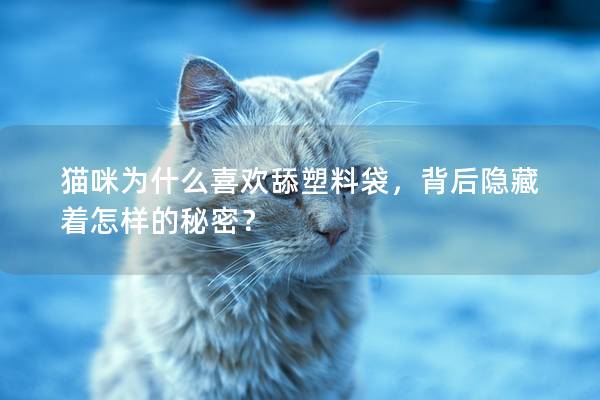 猫咪为什么喜欢舔塑料袋，背后隐藏着怎样的秘密？