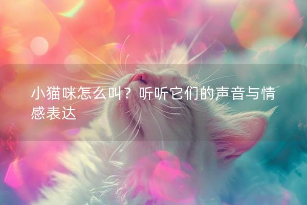 小猫咪怎么叫？听听它们的声音与情感表达