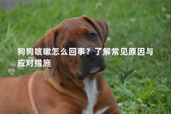 狗狗咳嗽怎么回事？了解常见原因与应对措施