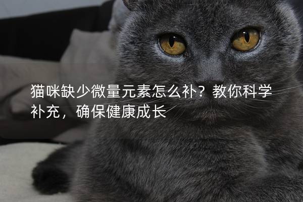 猫咪缺少微量元素怎么补？教你科学补充，确保健康成长