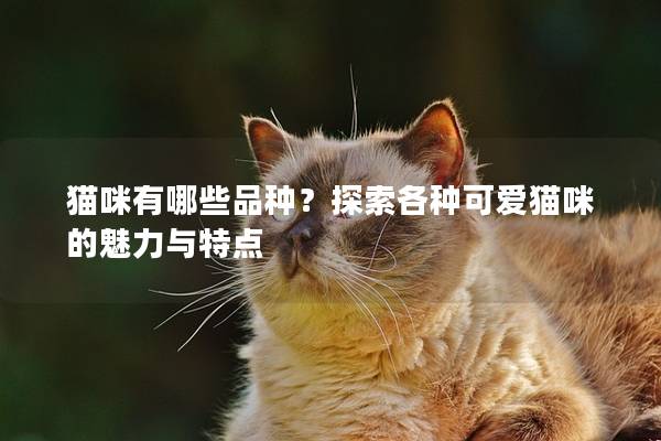 猫咪有哪些品种？探索各种可爱猫咪的魅力与特点