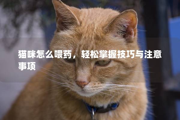 猫咪怎么喂药，轻松掌握技巧与注意事项