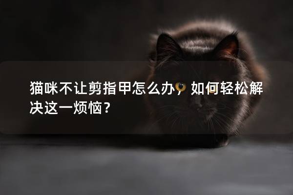 猫咪不让剪指甲怎么办，如何轻松解决这一烦恼？