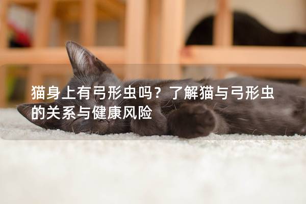 猫身上有弓形虫吗？了解猫与弓形虫的关系与健康风险