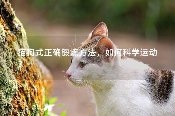 猫狗式正确锻炼方法，如何科学运动？