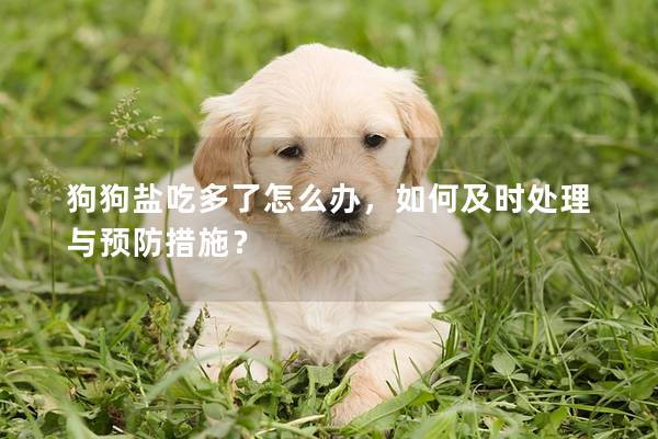 狗狗盐吃多了怎么办，如何及时处理与预防措施？