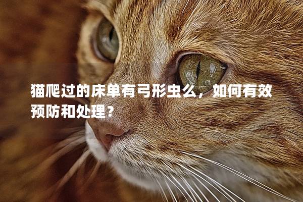 猫爬过的床单有弓形虫么，如何有效预防和处理？