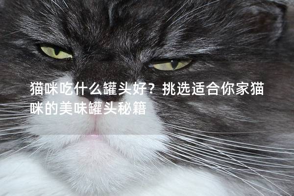 猫咪吃什么罐头好？挑选适合你家猫咪的美味罐头秘籍