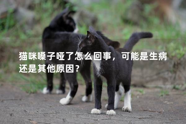 猫咪嗓子哑了怎么回事，可能是生病还是其他原因？