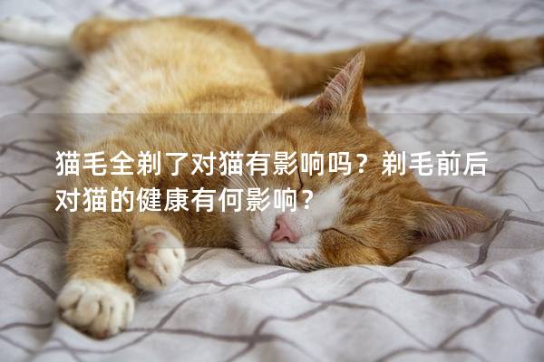 猫毛全剃了对猫有影响吗？剃毛前后对猫的健康有何影响？