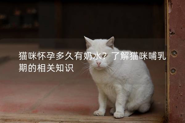 猫咪怀孕多久有奶水？了解猫咪哺乳期的相关知识