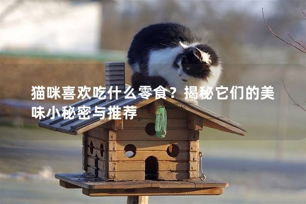 猫咪喜欢吃什么零食？揭秘它们的美味小秘密与推荐